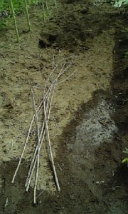 2空き宇根(元ジャガイモ&青梗菜)20110313204000